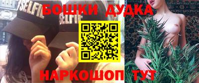 a pvp Новодвинск