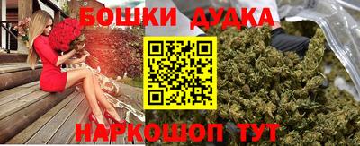 a pvp Новодвинск