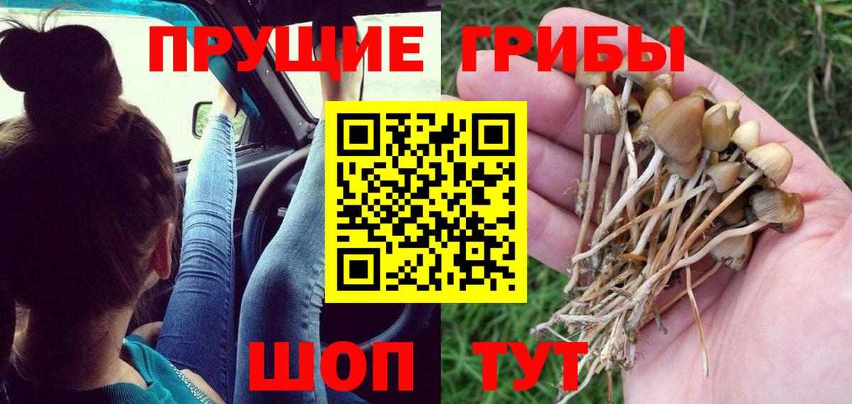 Псилоцибиновые грибы мухоморы  Вход с VPN  Альметьевск 